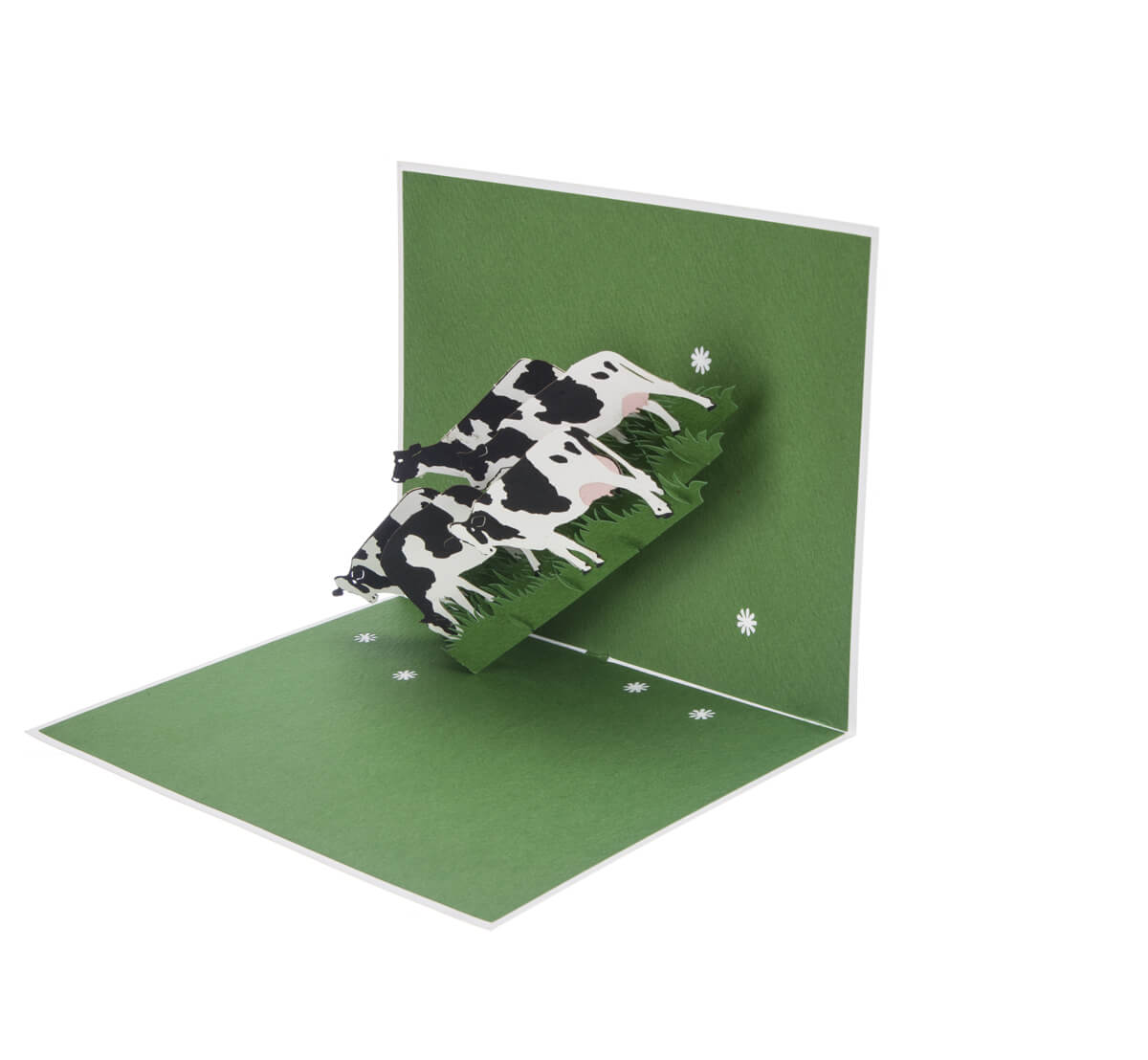 Friesian Cows Pop Up Card featuring 4 3D cows standing next to each other grazing, half open at 90 degrees