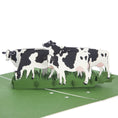 Load image into Gallery viewer, close up image of Friesian Cows Pop Up Card featuring 4 3D cows standing next to each other grazing
