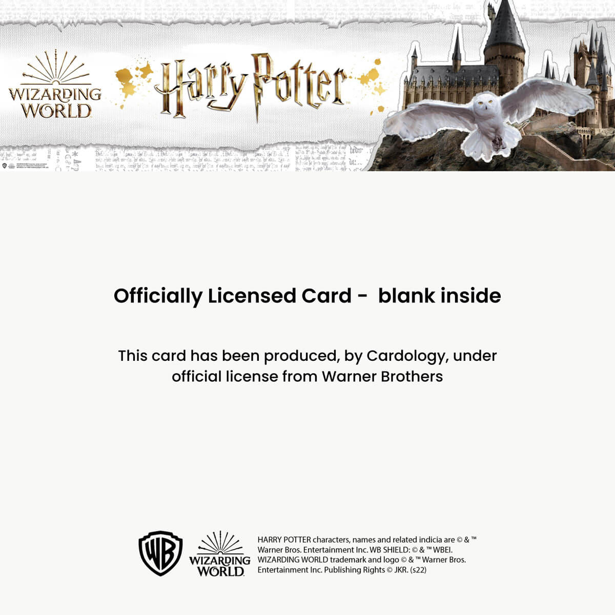 Harry Potter Christmas Pop Up Card - officially licensed card - blank inside - this 3D card has been produced under license from Warner Brothers