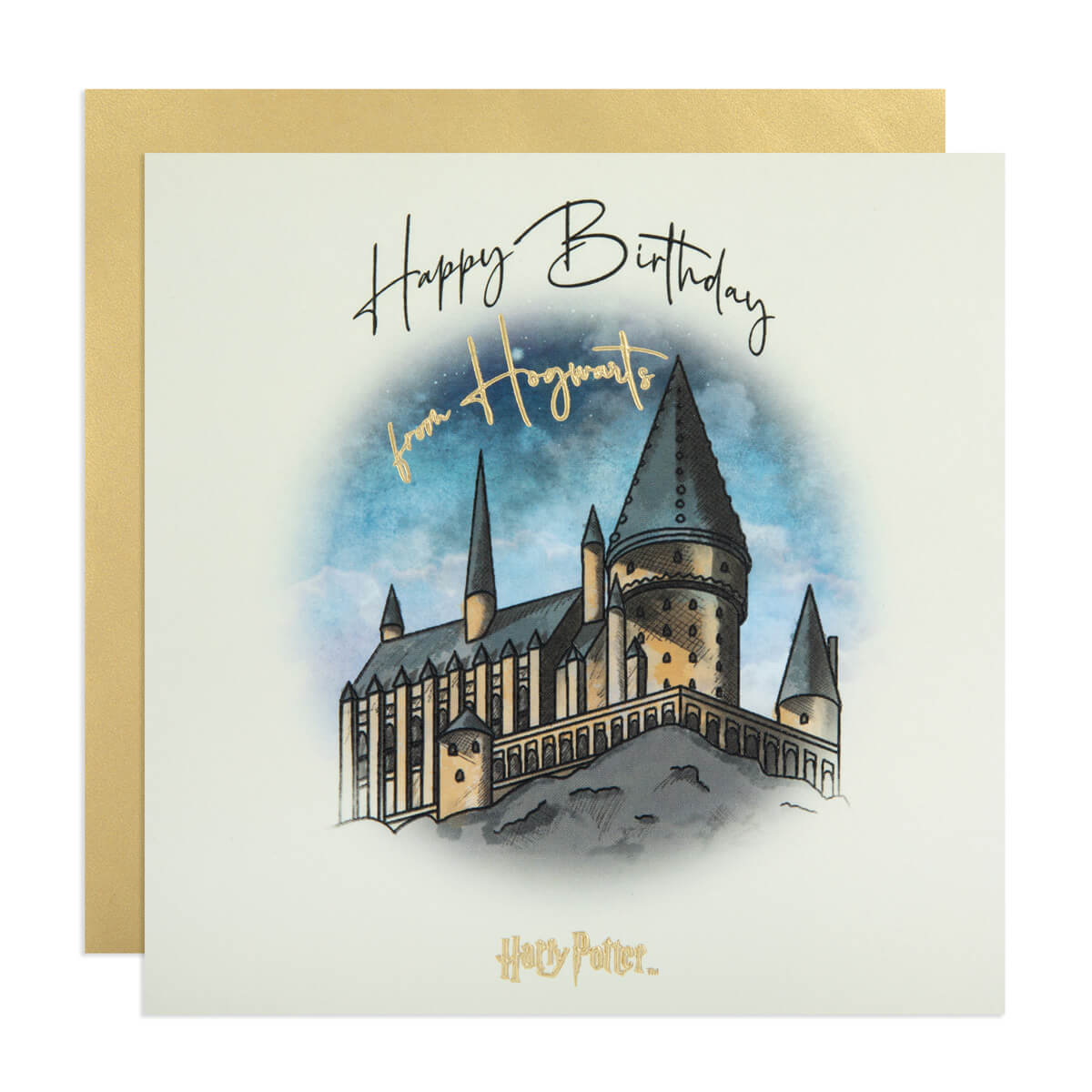 Hogwarts School Harry Potter 3D Pop Up Birthday Greeting Card – The  Creative Card Company