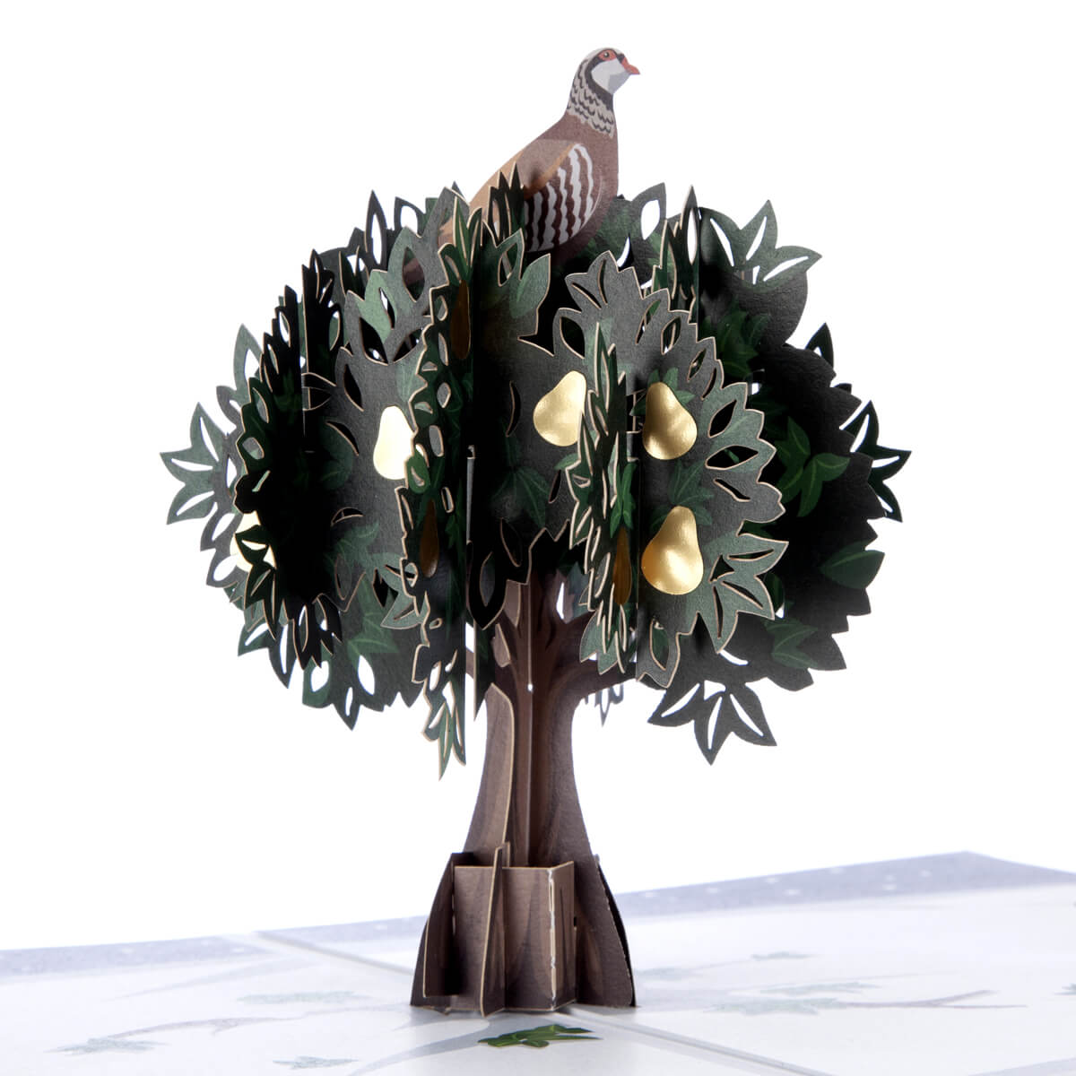 Partridge In A Pear Tree Pop Up Card For Christmas. Close Up Image
