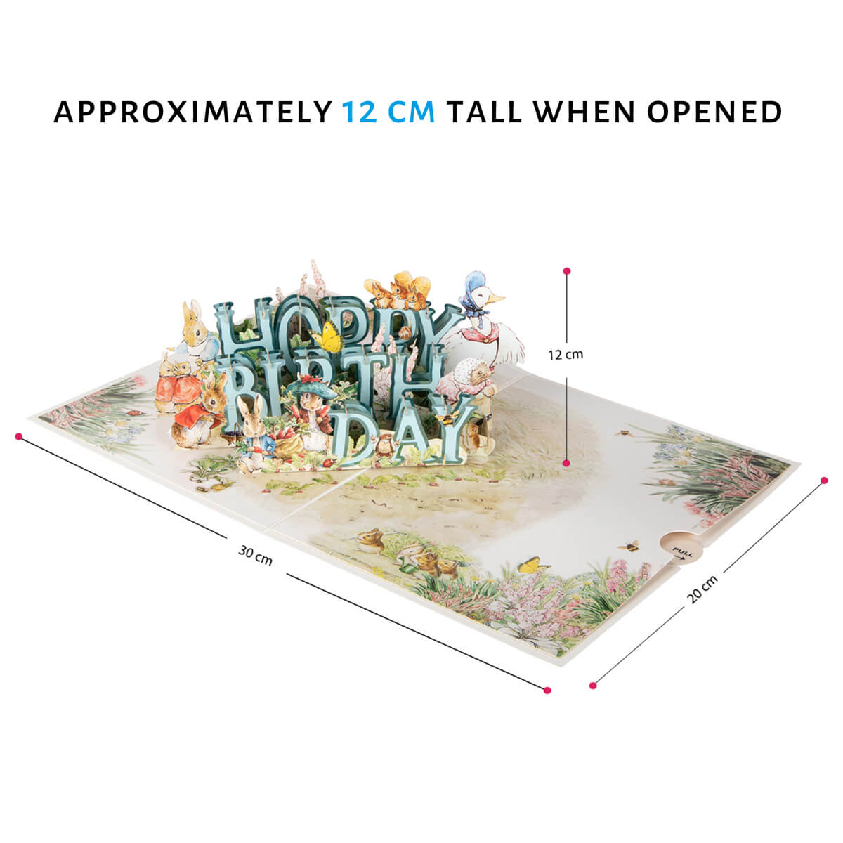 Peter Rabbit Babys First Birthday Keepsake 3D Card Dimensions image - when opened the card is 30cm (l) x 20cm (w) and the pop up is 12cm (h)
