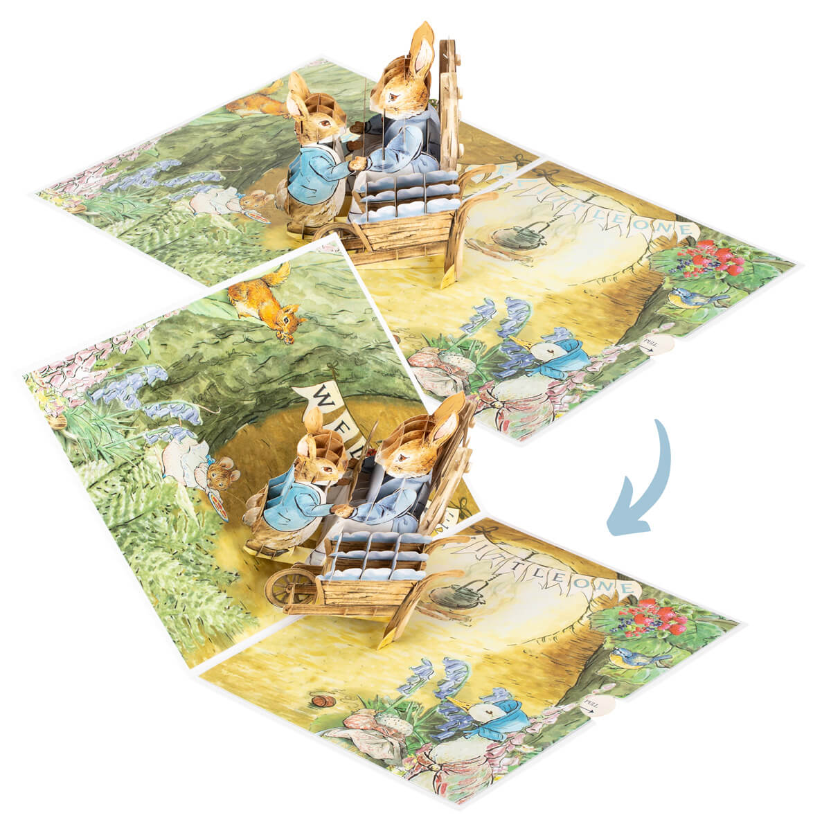 Peter Rabbit Pop Up Book