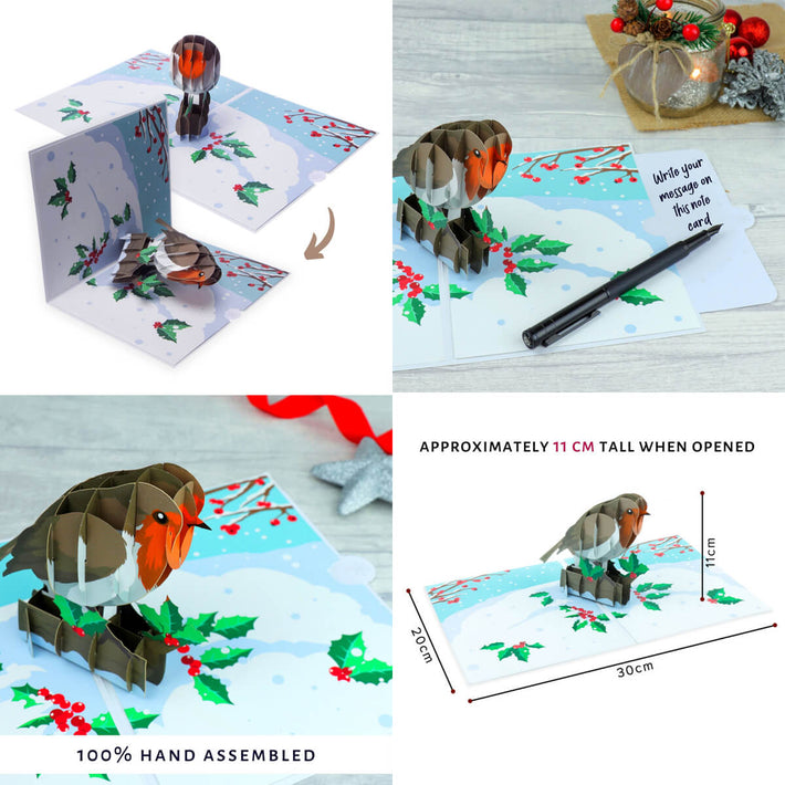 Robin Pop Up Card by Cardology included in Christmas Card Pack of 10 which offers great value with 20% off individual prices