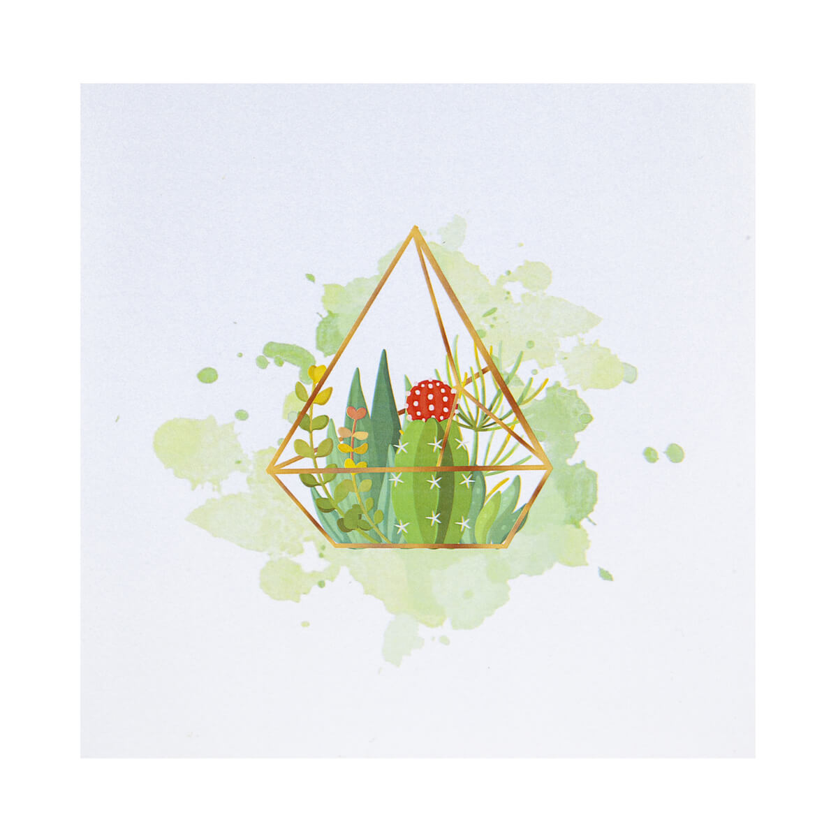 Terrarium Pop Up Card - Card Cover Image - White Card with watercolour image of succulent plants