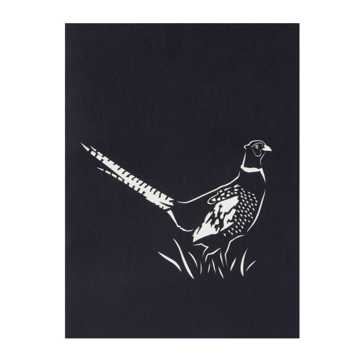 wild pheasant birthday pop up card cover, black with laser cut pheasant