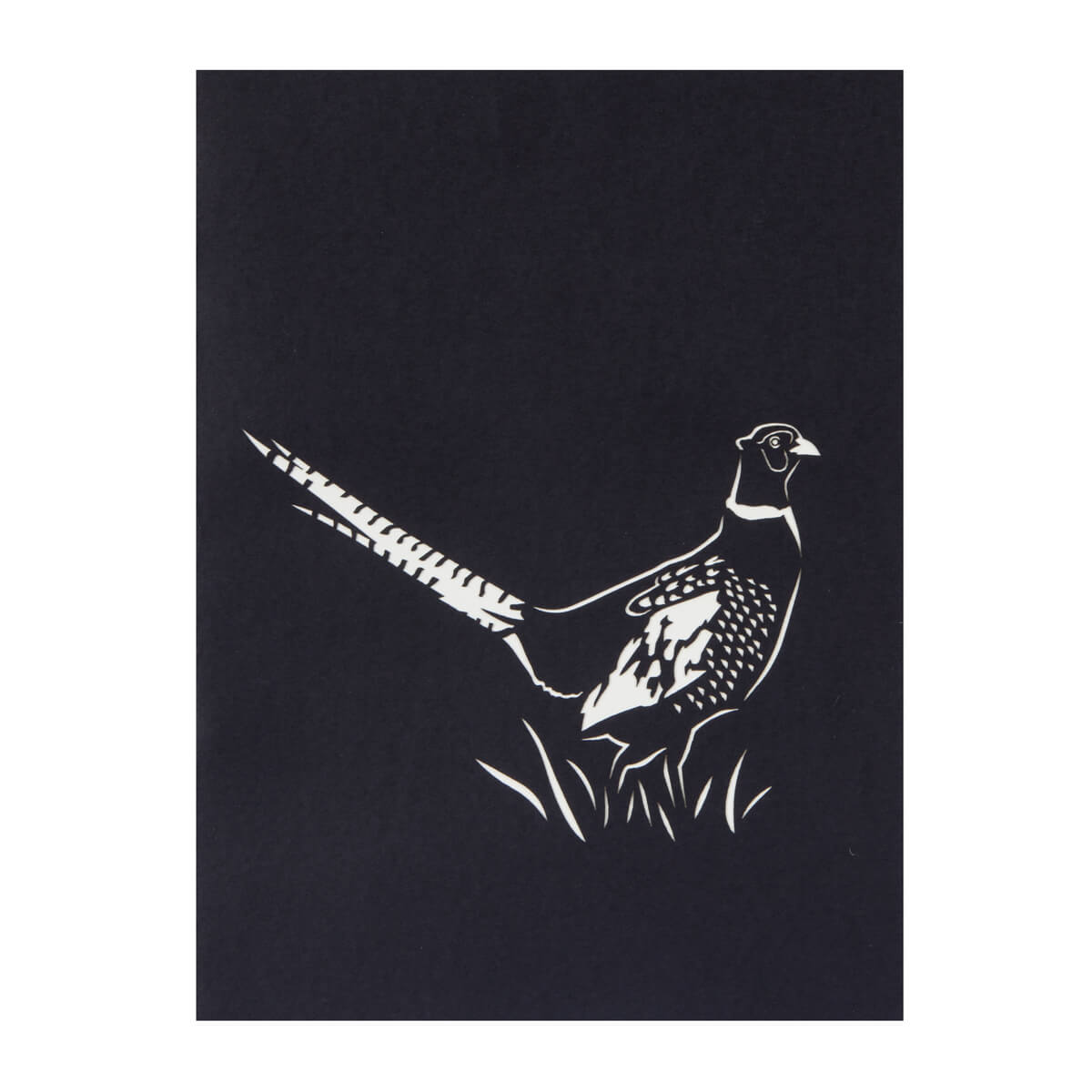 Pheasant Pop Up Card, Close Up Image