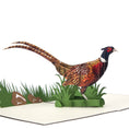 Load image into Gallery viewer, Pheasant Pop Up Card, Close Up Image
