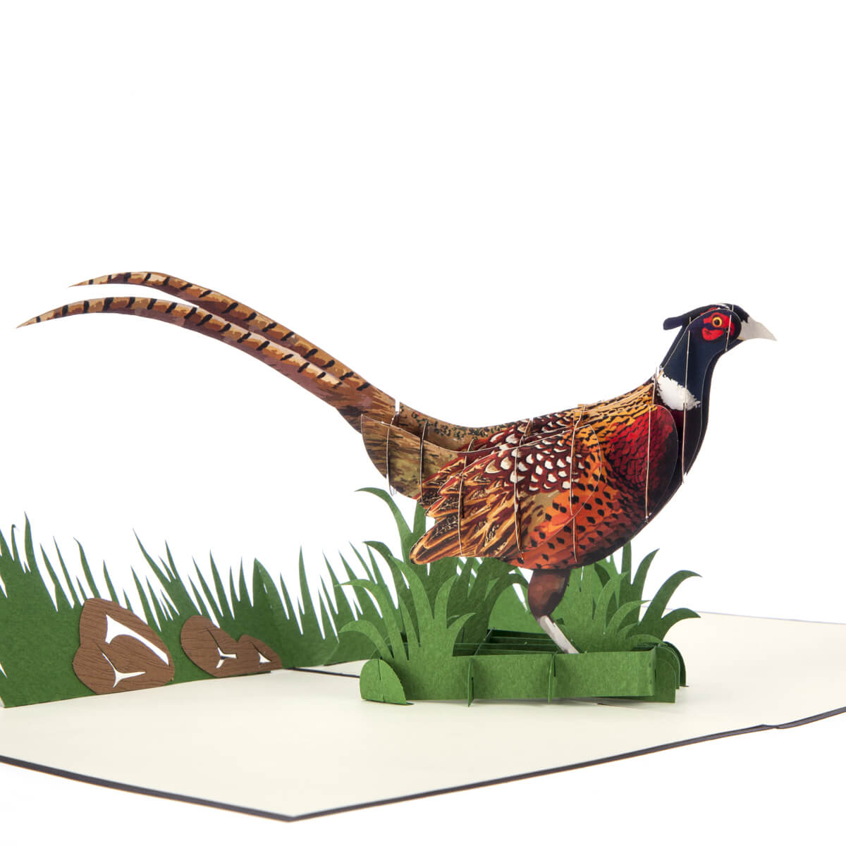 Pheasant Pop Up Card, Close Up Image