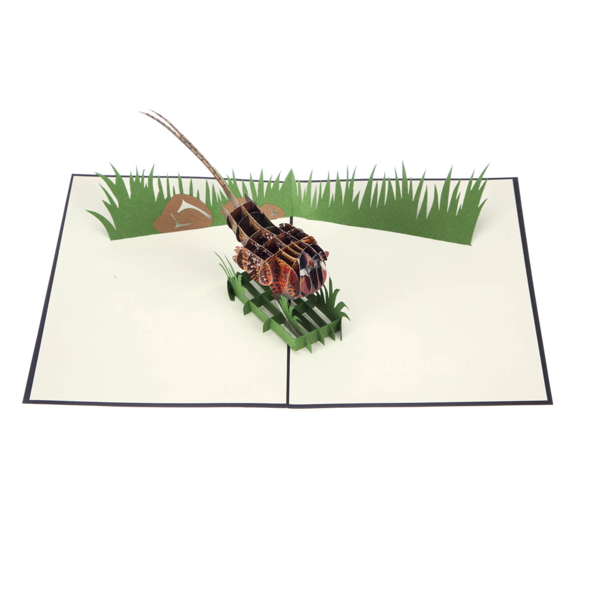 Wild Pheasant Pop Up Card