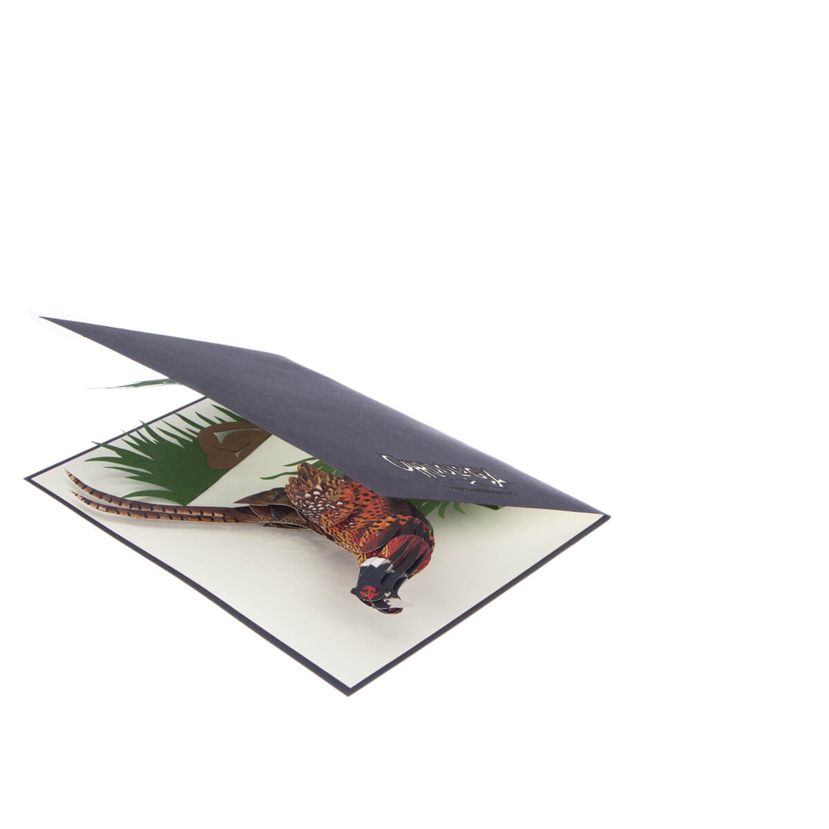 Wild Pheasant Pop Up Card