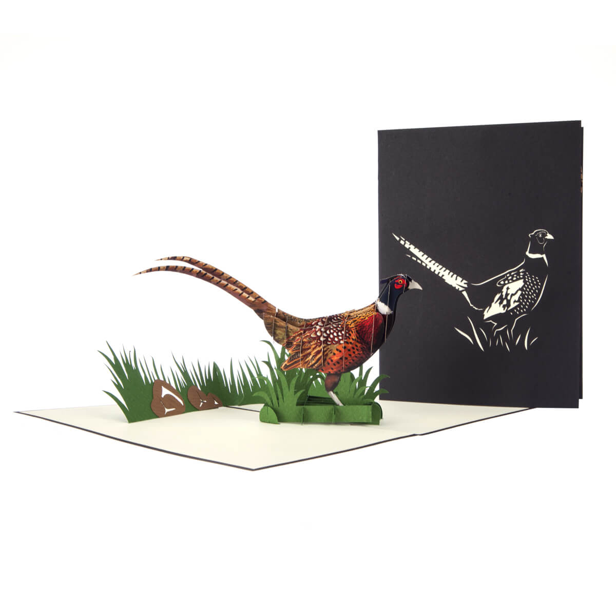 Wild Pheasant Pop Up Card