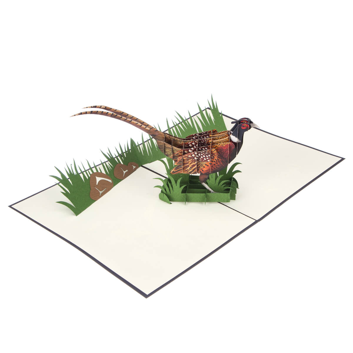 Wild Pheasant Pop Up Card